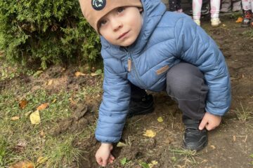 Żonkilowe pola nadziei.