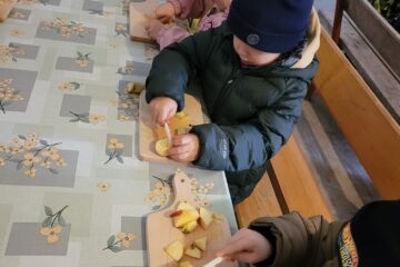 Zdjęcie WhatsApp 2025 10 15 o 15.20.28 076cd3e0