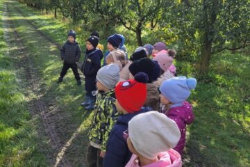 Zdjęcie WhatsApp 2025 10 15 o 15.20.28 5ec89a53