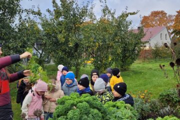 Zdjęcie WhatsApp 2025 10 15 o 15.20.28 9fe2cfaa