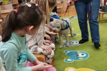 Messenger creation 9681CD4C 5A0F 4578 8A87 93DF6D765440