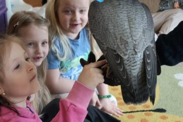 zajęcia przyrodnicze spotkanie z sokolnikiem