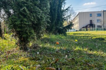 Wielkanoc w przedszkolu