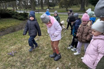 Automatycznie zapisany szkic