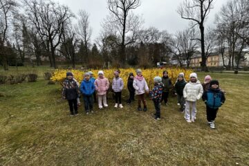 Automatycznie zapisany szkic