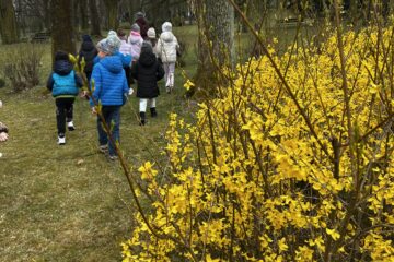 Automatycznie zapisany szkic