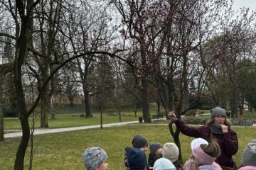 Automatycznie zapisany szkic