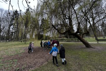 Automatycznie zapisany szkic