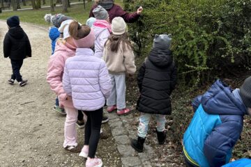 Automatycznie zapisany szkic