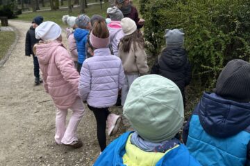 Automatycznie zapisany szkic