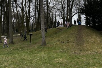 Automatycznie zapisany szkic