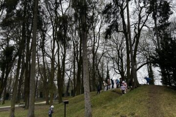 Automatycznie zapisany szkic