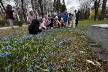 Automatycznie zapisany szkic