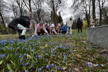 Automatycznie zapisany szkic